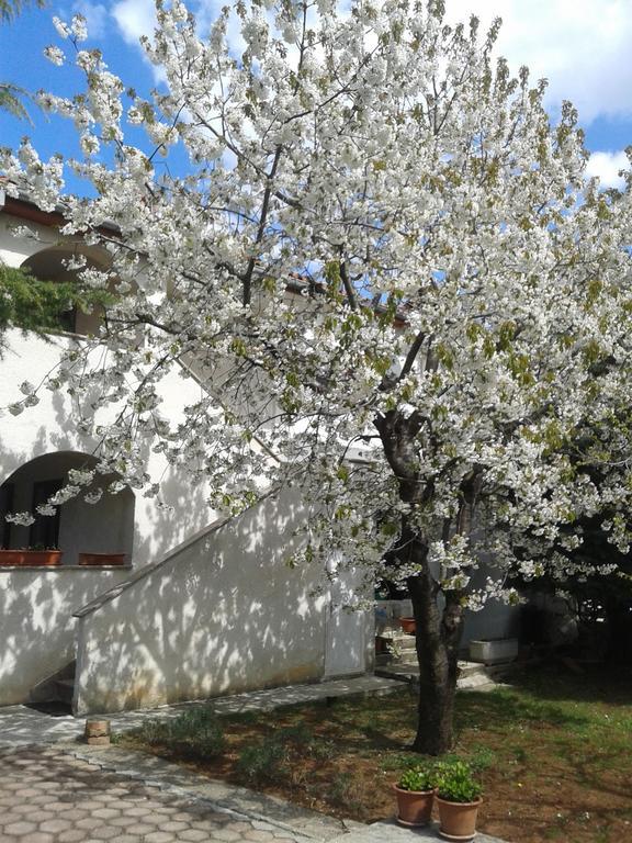 Apartments Porec Istria By Nina Esterno foto